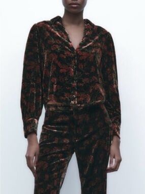 Zara velvet top